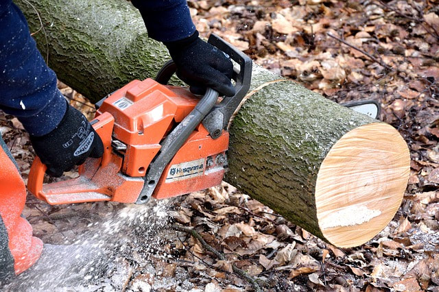 log bucking with an orange chainsaw